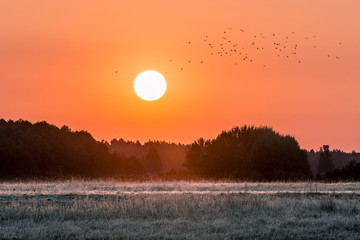 Sonnenaufgang an einem frostigen Morgen