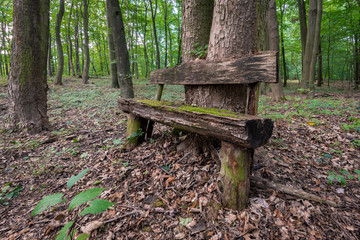 Alte einsame Bank im Wald
