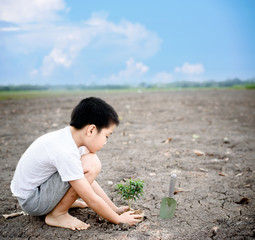 Fototapeta na wymiar Boy planting on crack soil
