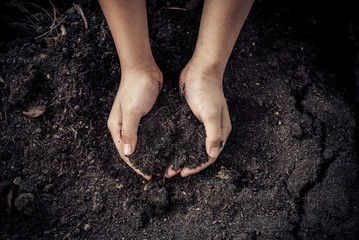 Black soil in hand