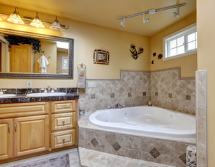 Luxury bathroom with jacuzzi style bath tub, stone floor, and bl