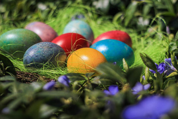 Easter nest
