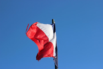 Obraz premium French Flag