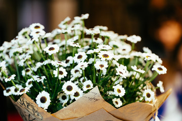 Bouquet of white camomiles in paper wrapping