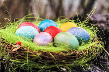 Easter nest