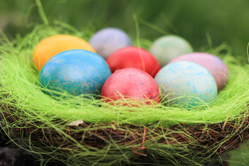 Fototapeta na wymiar Easter nest