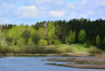 Fototapeta premium Colorful sunny spring landscape with lake