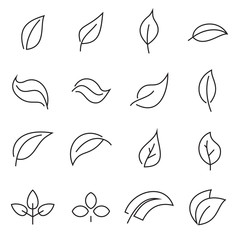 Outline icons of leaves isolated on a white background