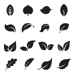 Collection of leaf icons. Black icons isolated on a white background. Vector illustration