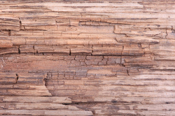 Fototapeta na wymiar old grunge wooden surface macro background