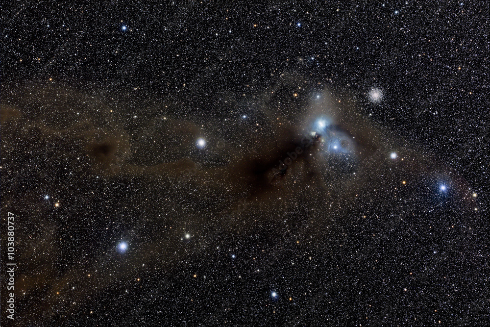 Canvas Prints stars nebula in space. elements of this image furnished by nasa