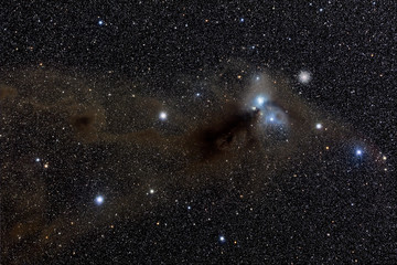 Stars nebula in space. Elements of this image furnished by NASA