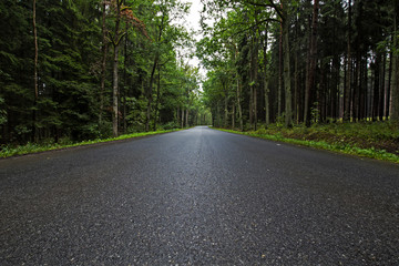 Rural forest road - 103881566