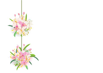 Obraz na płótnie Canvas two pink flowers ball bouquet on white background,vector illustration