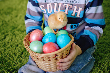 Little chicken and Easter eggs in the hands of the baby