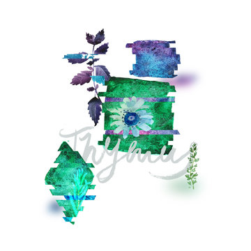 watercolor thyme design with green and purple clip art preview