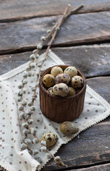 Quail eggs and pussy-willow on wood background