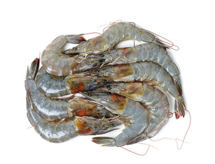 Raw shrimp isolated on the whtie background