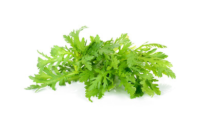 Garland chrysanthemum isolated on the white background