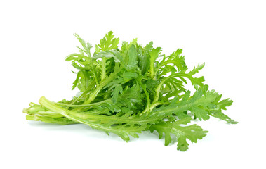Garland chrysanthemum isolated on the white background