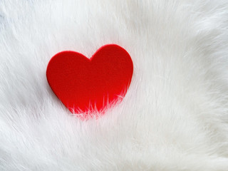 Valentines day background with red heart on white cat hair. Happ