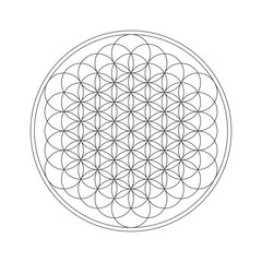 Flower of life. Sacred geometry.