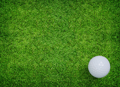 White golf ball on green grass of golf course.