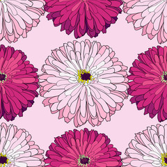 Zinnia seamless pattern