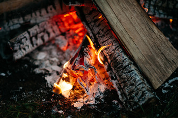 bonfire night outdoors