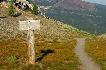 Wooden pointer to the Moraine Lake, Three Sisters Wilderness in central Oregon.