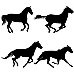 Set  silhouette of black mustang horse vector illustration