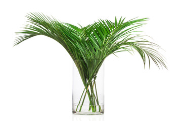 Palm leaves in the vase on white background