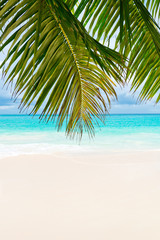 Plakat Anse Lazio beach. The Seychelles