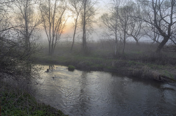 Spring landscape with river