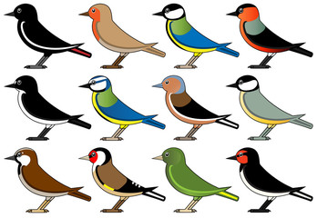 European common birds
