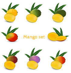 Obraz premium Big set of fresh mango with slice. Photorealistic vector image. - Illustration