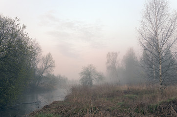 Obraz na płótnie Canvas Spring landscape with river