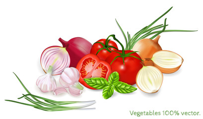 Big vector set of fresh vegetables. Vector illustration.