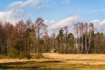 Leśny domek