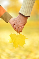 Hands against the fallen yellow leaves