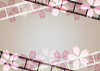フィルムと桜