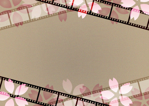 フィルムと桜