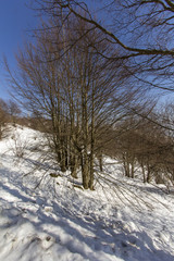 Monte Beigua 3