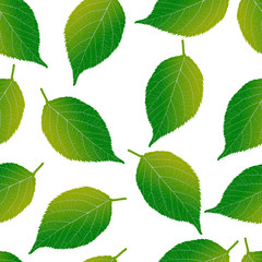 Pattern from leaves