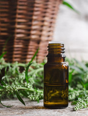 Essential mugwort oil