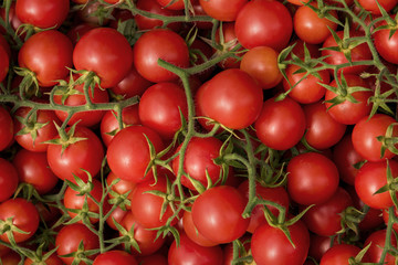 Tomaten in einer Kiste