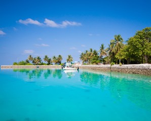 Maldives,  tropical sea background!