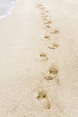 sand footprints