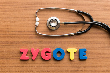 zygote colorful word