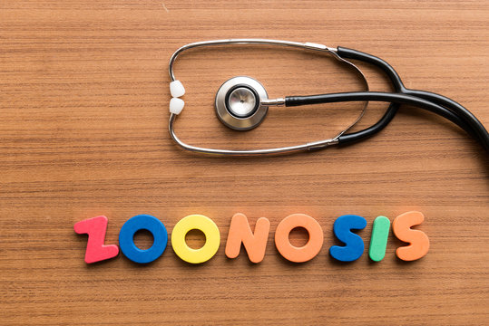 Zoonosis Colorful Word